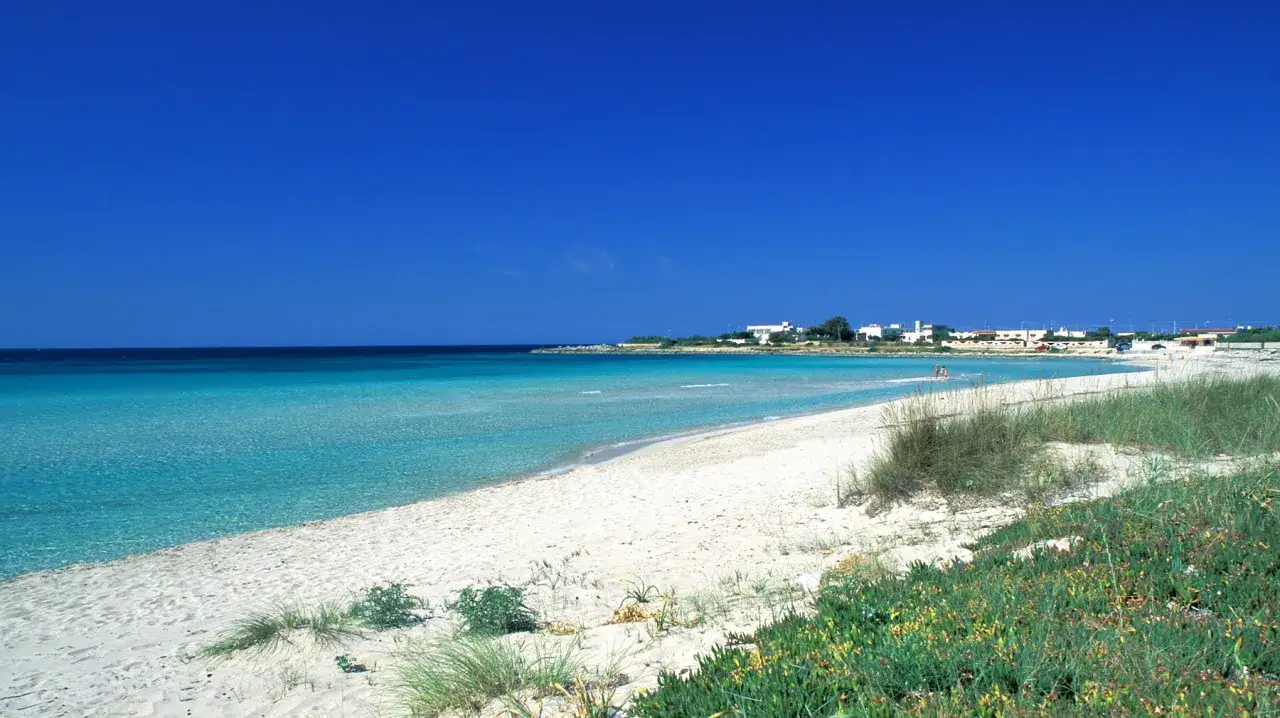 Spiagge sabbiose Puglia: acque cristalline e vegetazione mediterranea su una costa incantevole.