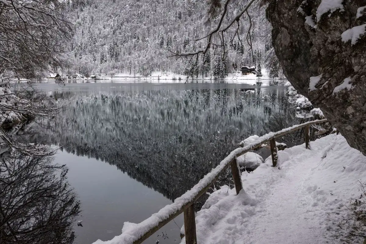Una perfetta gita fuori porta a Roma in inverno: lago ghiacciato, boschi innevati e un sentiero con ringhiera coperta di neve.