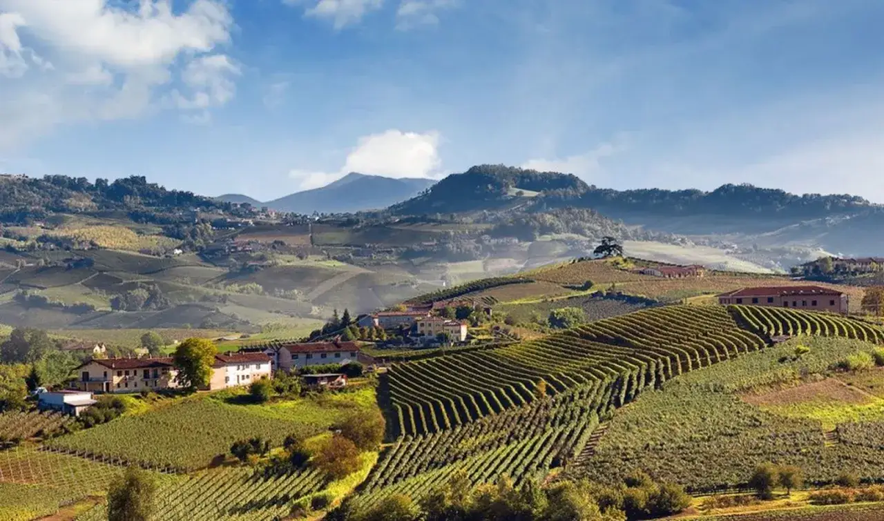 Colline ondulate e vigneti ordinati nei Langhe e Roero, con casali sparsi e montagne sullo sfondo.