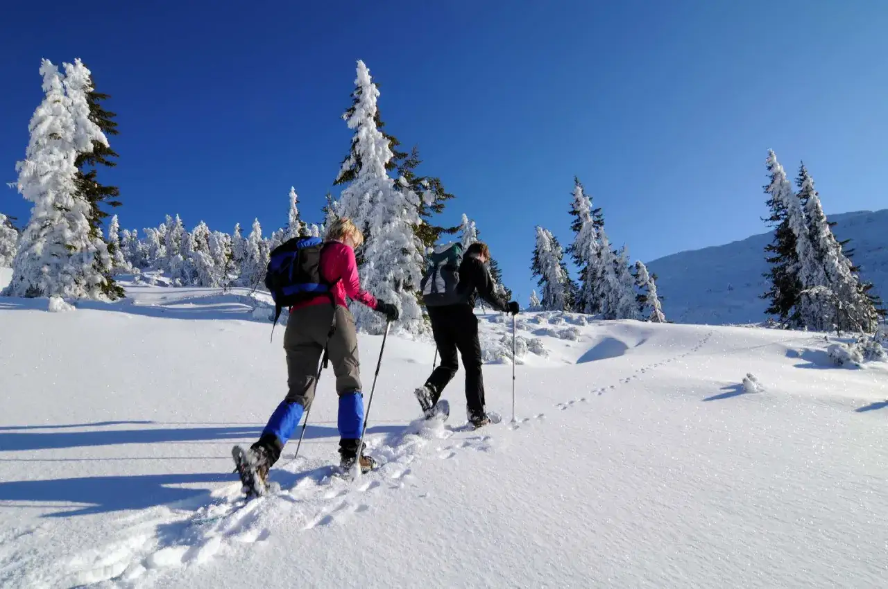 Due escursionisti camminano sulla neve, con alberi innevati e cielo azzurro. Una giornata perfetta per godersi la neve vicino Milano.