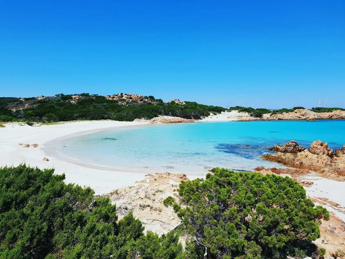 Spiaggia bianca e acque turchesi sull'isola di Budelli, con rocce rosse e macchia mediterranea.