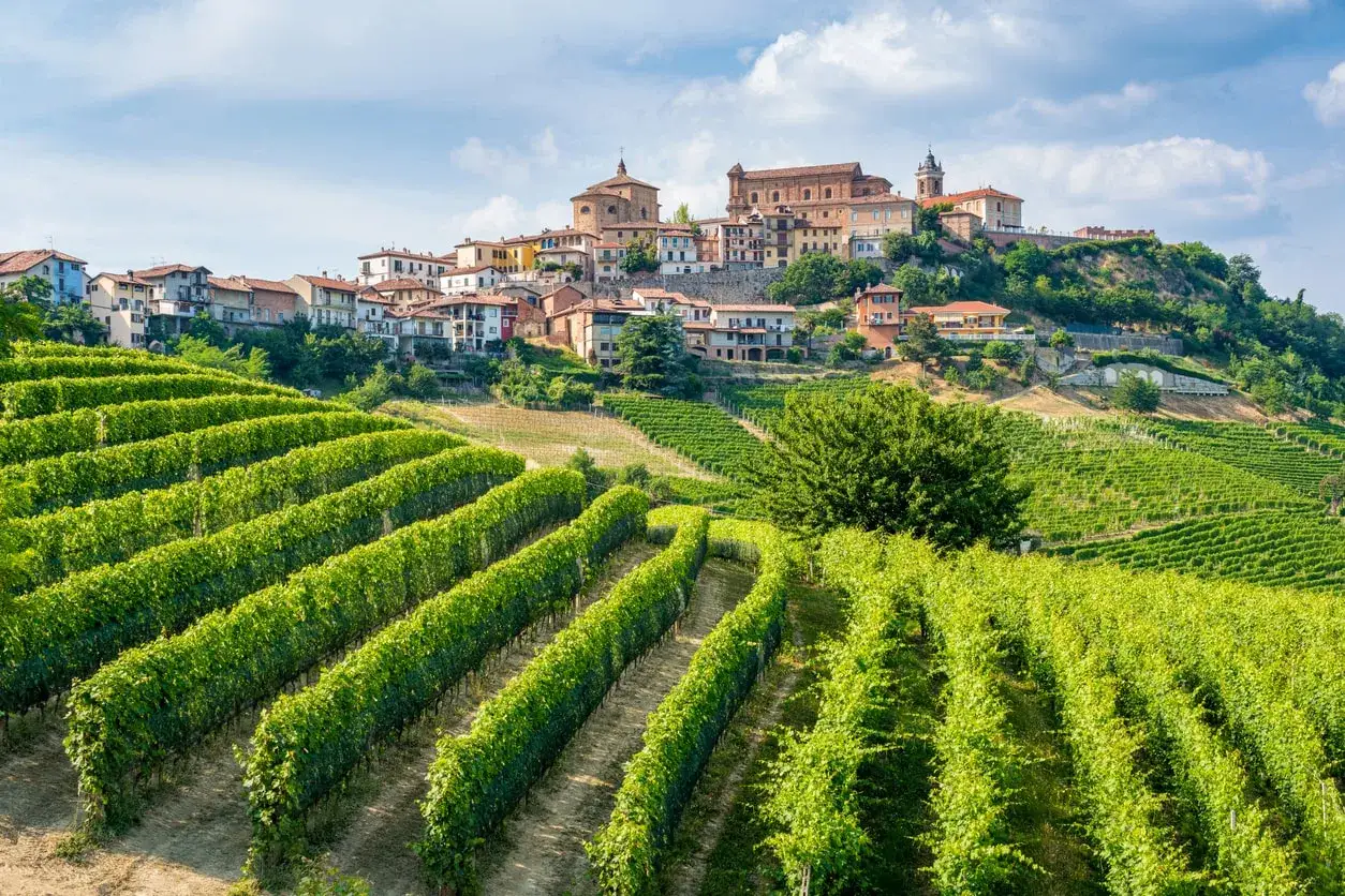 Colline rigogliose di vigneti si estendono verso un borgo arroccato, tipico paesaggio delle Langhe e Roero.