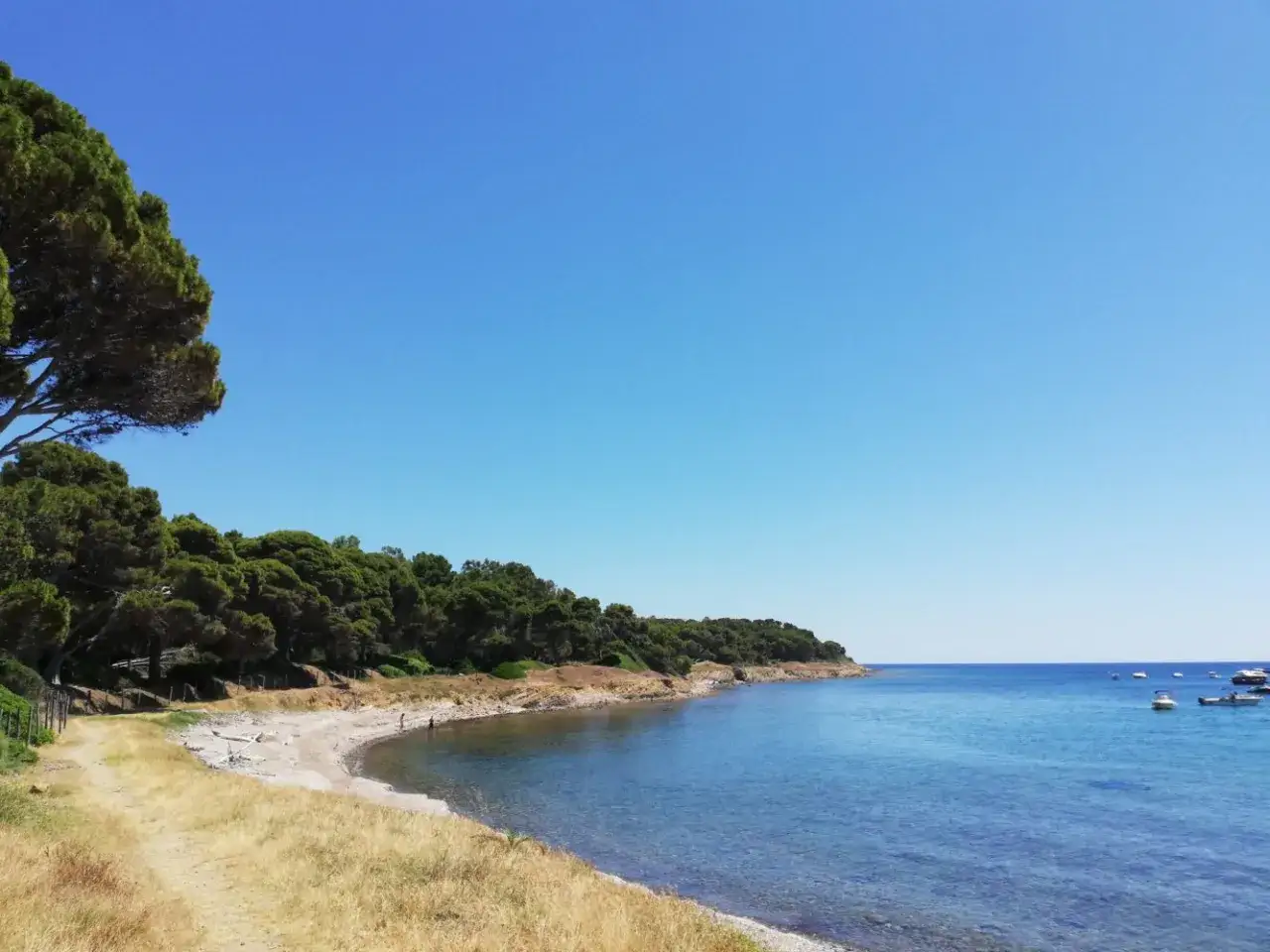 Spiaggia tranquilla sulla costa del Cilento, con mare azzurro, pineta rigogliosa e qualche barca all'orizzonte.
