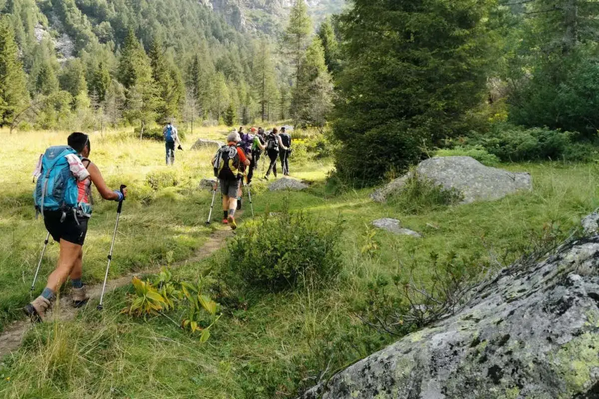 Un gruppo di escursionisti in montagna percorre un sentiero tra prati verdi e alberi.