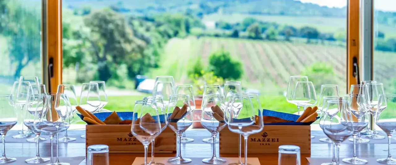 Wine glasses and breadsticks are set on a table with a Tuscan vineyard view.