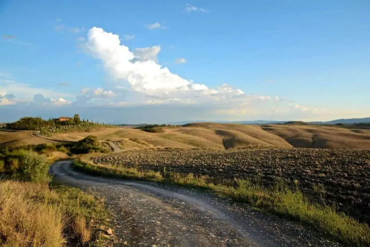 Strada sterrata serpeggia tra dolci colline toscane, verso una casa colonica. Paesaggio iconico della via Lauretana.