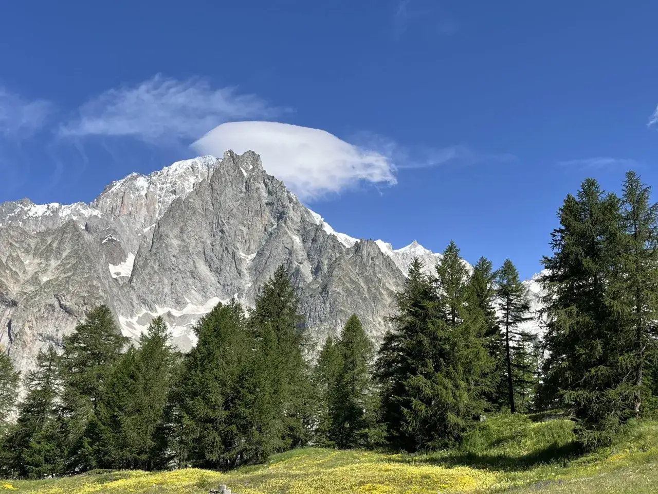 Un imponente picco roccioso innevato, tra le montagne italiane più famose, si staglia contro un cielo azzurro con una nuvola lenticolare. Ai suoi piedi, un prato fiorito di giallo e un bosco di conifere.