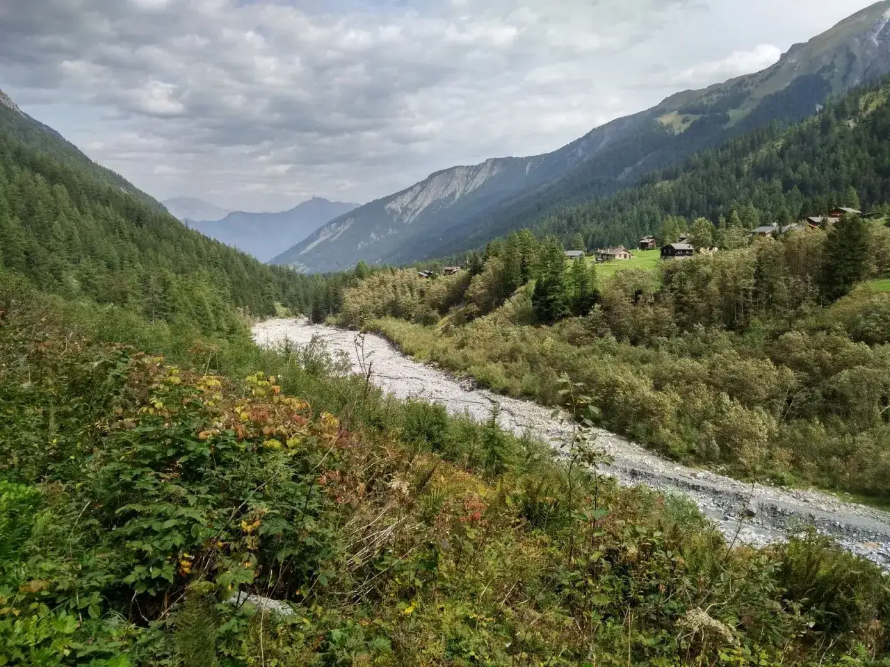 Val Ferret: un torrente serpeggia tra boschi e montagne, ideale per passeggiate facili con casette sparse.