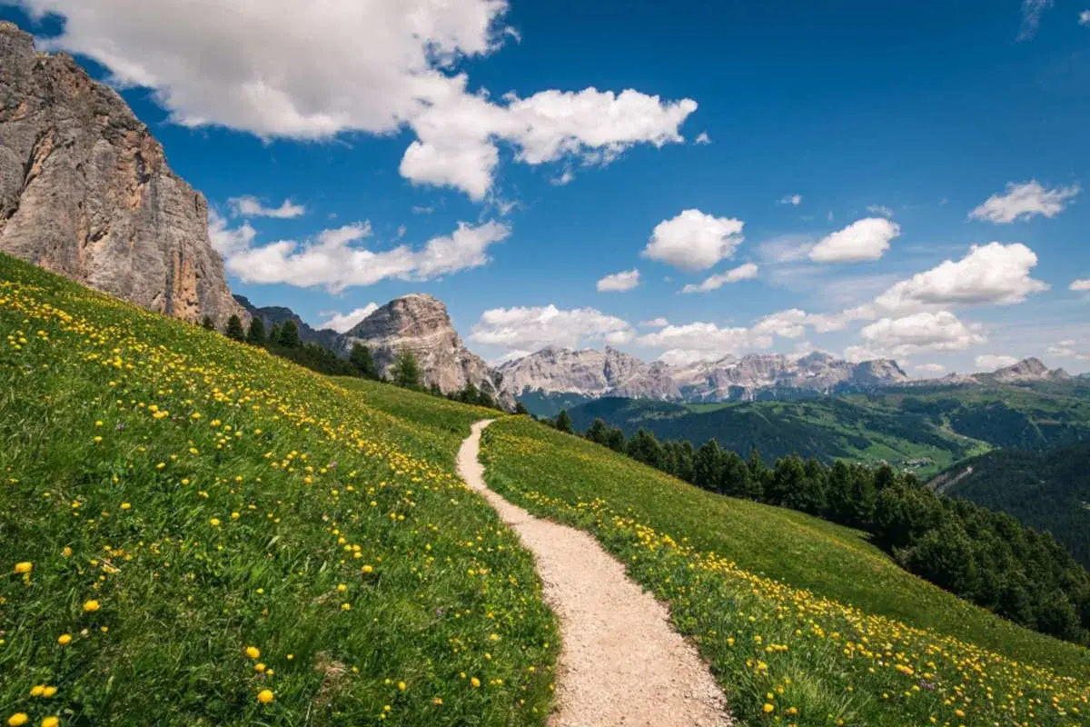 Sentiero in un prato fiorito di montagna, con imponenti montagne sullo sfondo. Paesaggi naturali mozzafiato sotto un cielo azzurro con nuvole bianche.