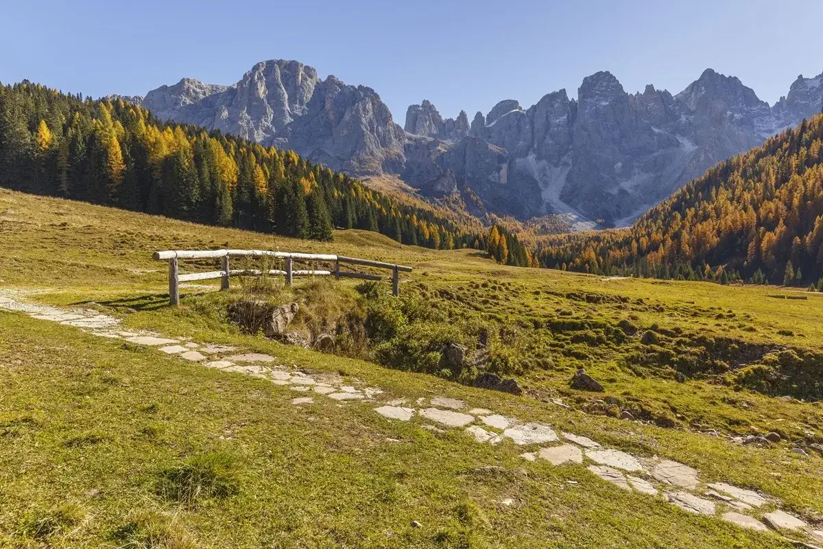 Sentiero in pietra a San Martino di Castrozza, estate con boschi dorati e maestose cime dolomitiche.