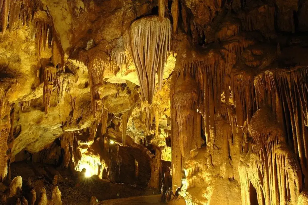 Stalattiti e stalagmiti dorate illuminano le grotte di Pastena, creando un paesaggio sotterraneo magico.