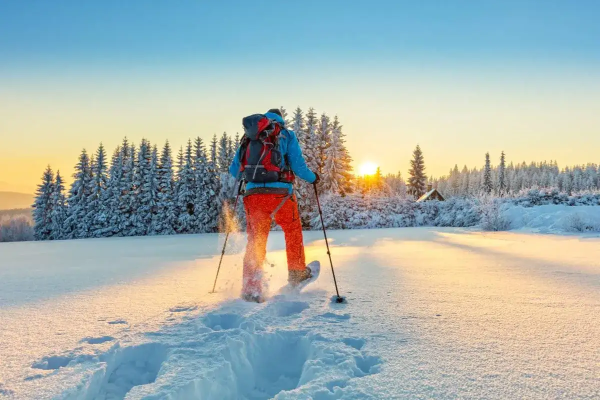 Persona con zaino cammina nella neve con racchette per camminare sulla neve, al tramonto, tra alberi innevati.