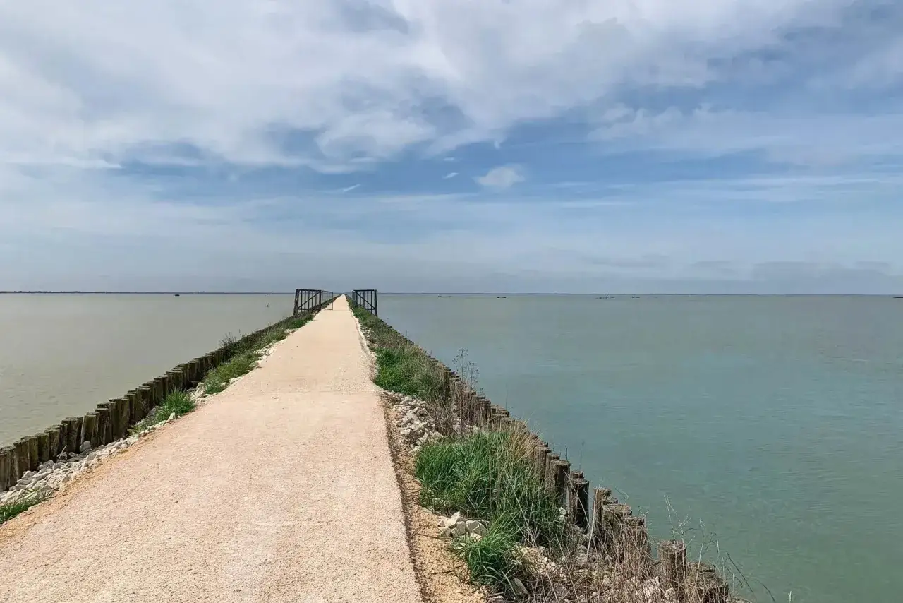 Sentiero sterrato lungo la ciclabile del Delta del Po, con acqua calma e cielo nuvoloso.