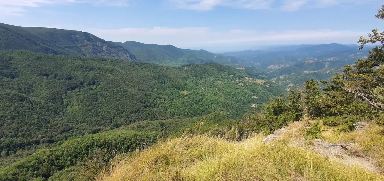Vista panoramica dal Monte Falco in Umbria, con dolci colline verdi e un cielo azzurro.