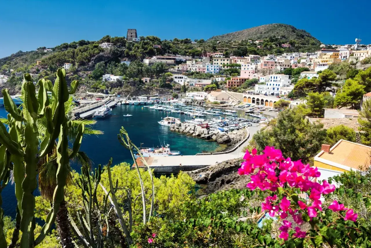 Vista panoramica del porto di Ustica, con case colorate, cactus e bouganville. Un luogo incantevole da scoprire, tra mare cristallino e natura rigogliosa.