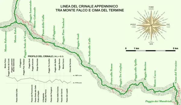 Mappa del crinale appenninico tra Monte Falco e Cima del Termine, con profilo altimetrico e rosa dei venti.