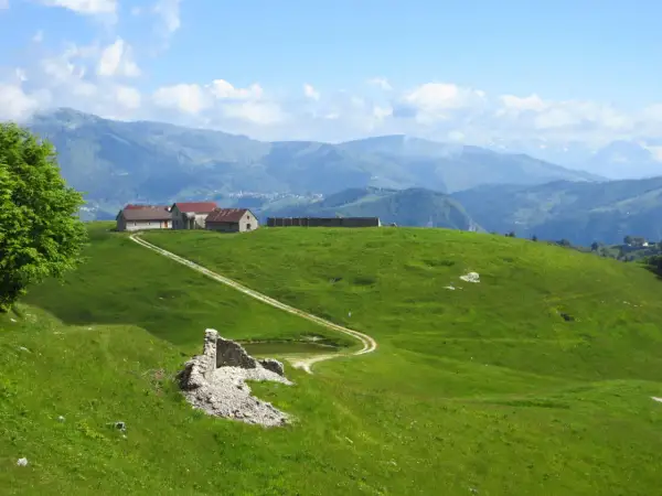Un sentiero delle malghe serpeggia tra verdi colline, conducendo a un gruppo di rustici edifici con tetti rossi. In primo piano, ruderi di pietra e un piccolo stagno.