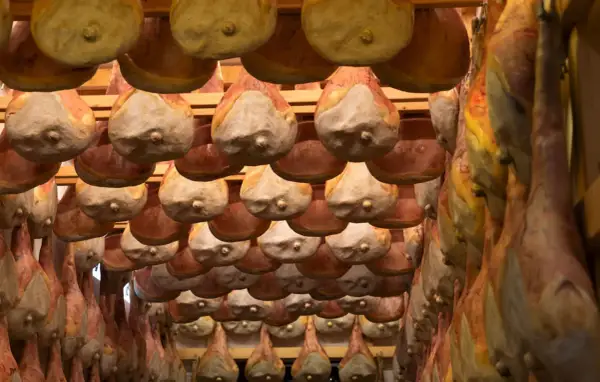 Prosciutti appesi in un locale di stagionatura, un'immagine che evoca i sapori autentici di San Daniele del Friuli.
