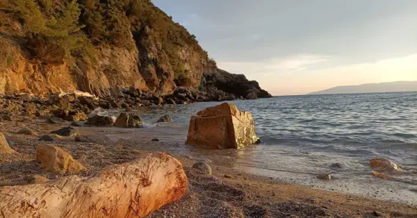 Spiaggia di Cala del Gesso al tramonto, con scogli dorati e un tronco sulla riva.
