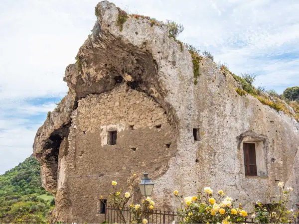 Antiche domus de janas scavate nella roccia, con finestre e mura in pietra, circondate da vegetazione e fiori gialli.