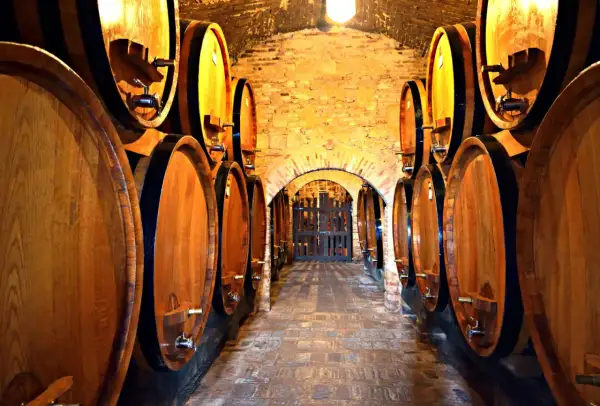 Cantina con botti di legno, ideale per una degustazione vini toscana. L'atmosfera è calda e invitante.