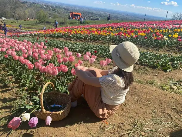 Bambina con cappello seduta in un campo di tulipani rosa e gialli, con un cesto di fiori accanto.