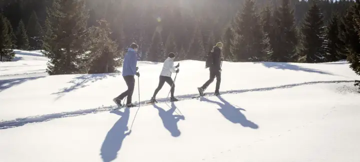 Tre persone camminano con le ciaspole su un sentiero innevato, godendosi le loro esperienze sulla neve in un bosco di abeti.